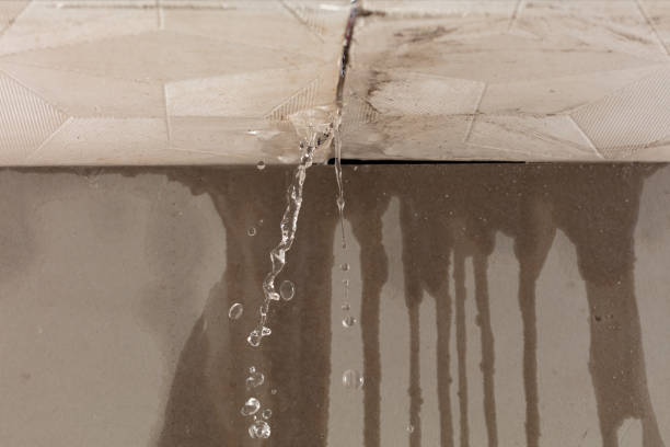 Professional Water Damage Inspection technician working in Spring Hill, FL